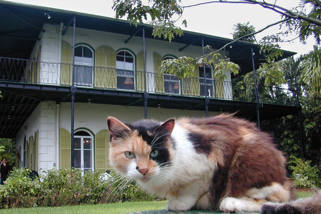 Funk, Frivolity, and Florida History in Key West