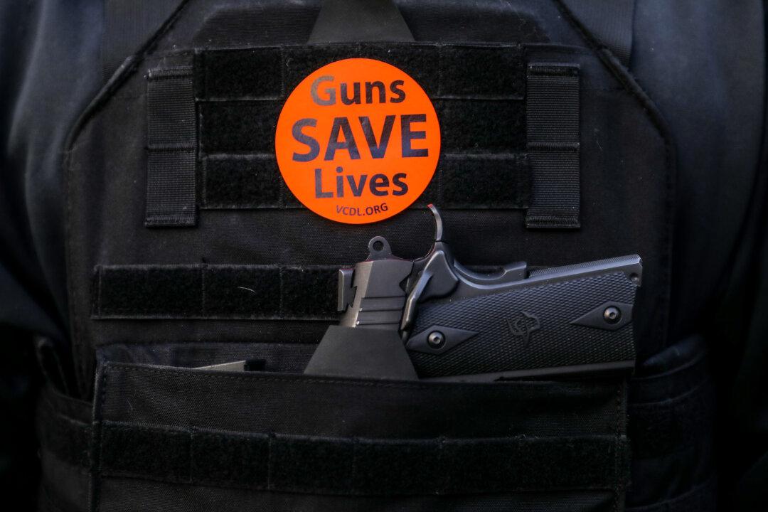 Gun Rights Activist Tells Congress Education Can Reduce Shootings, Not More Laws