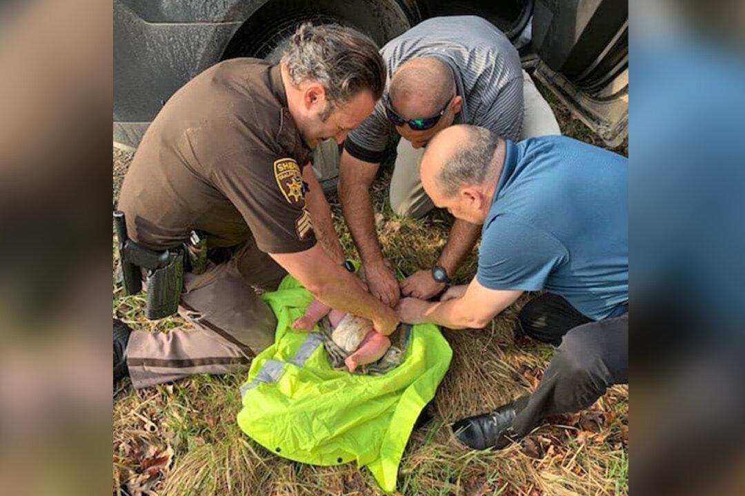 4-Month-Old Baby Found Alive After a Distraught Mother Abandoned Him by a Michigan Creek