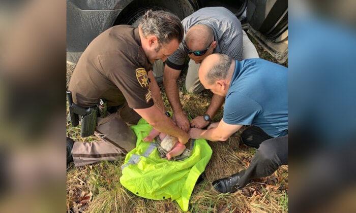 4-Month-Old Baby Found Alive After a Distraught Mother Abandoned Him by a Michigan Creek