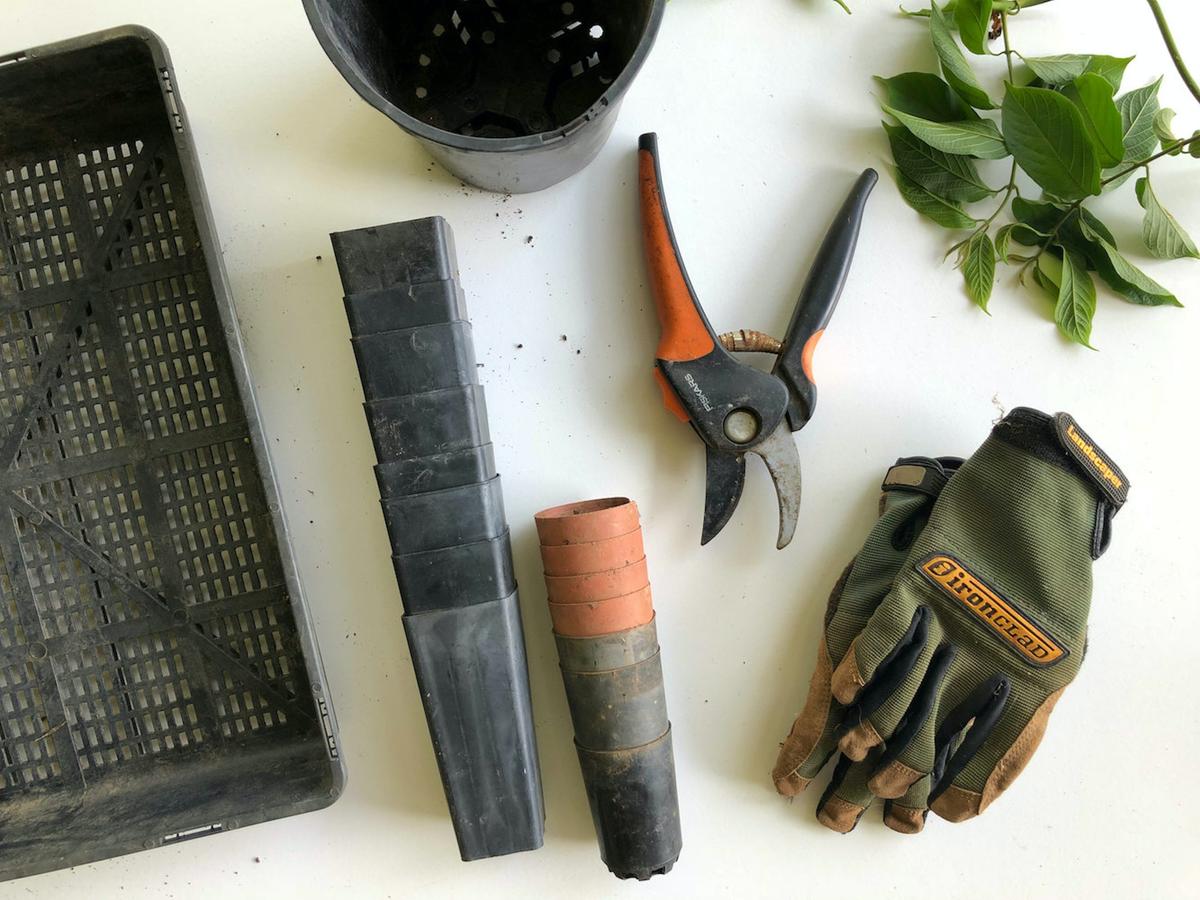 Five Essential Starter Gardening Tools for Beginners