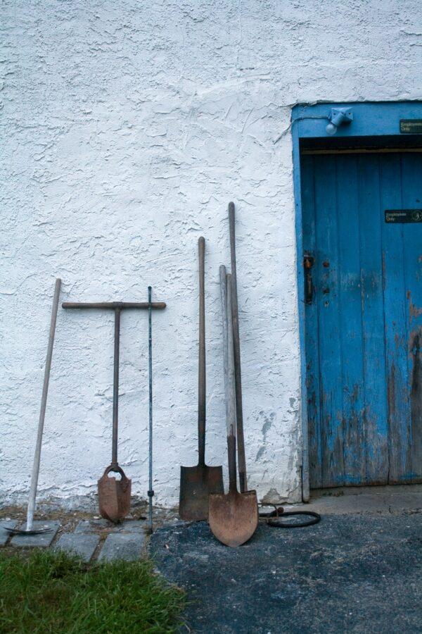 Shovels come in many shapes and sizes depending on your needs, but a general all purpose one can be a good starter tool for those larger jobs. (Sue Hughes/Unsplash)