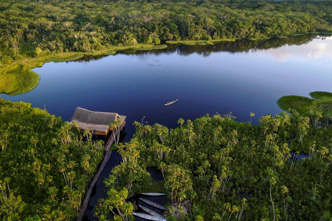 Sacha Lodge: Where the Wild Things Still Are