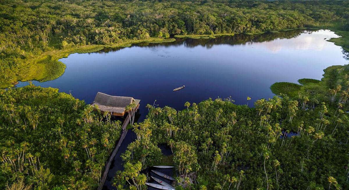 Sacha Lodge: Where the Wild Things Still Are