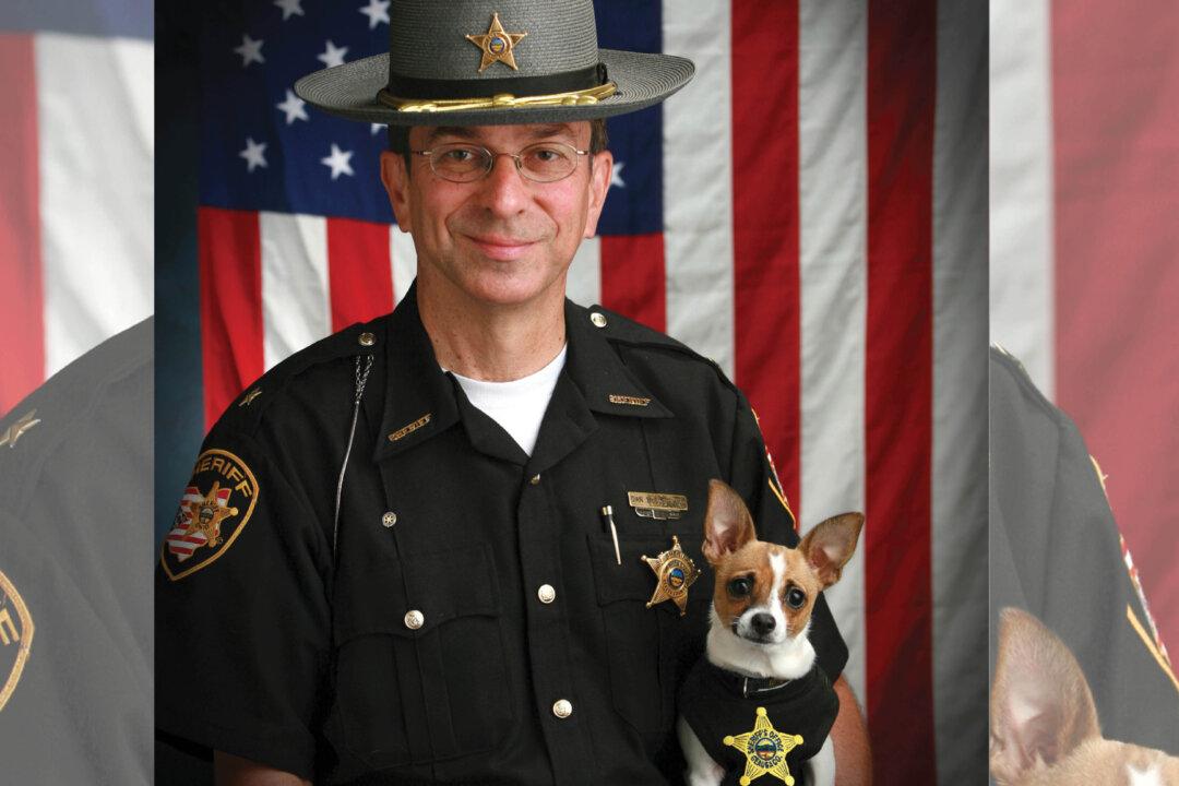 Retired Ohio Sheriff Dies With Tiny K9 Partner Chihuahua Following on Same Day