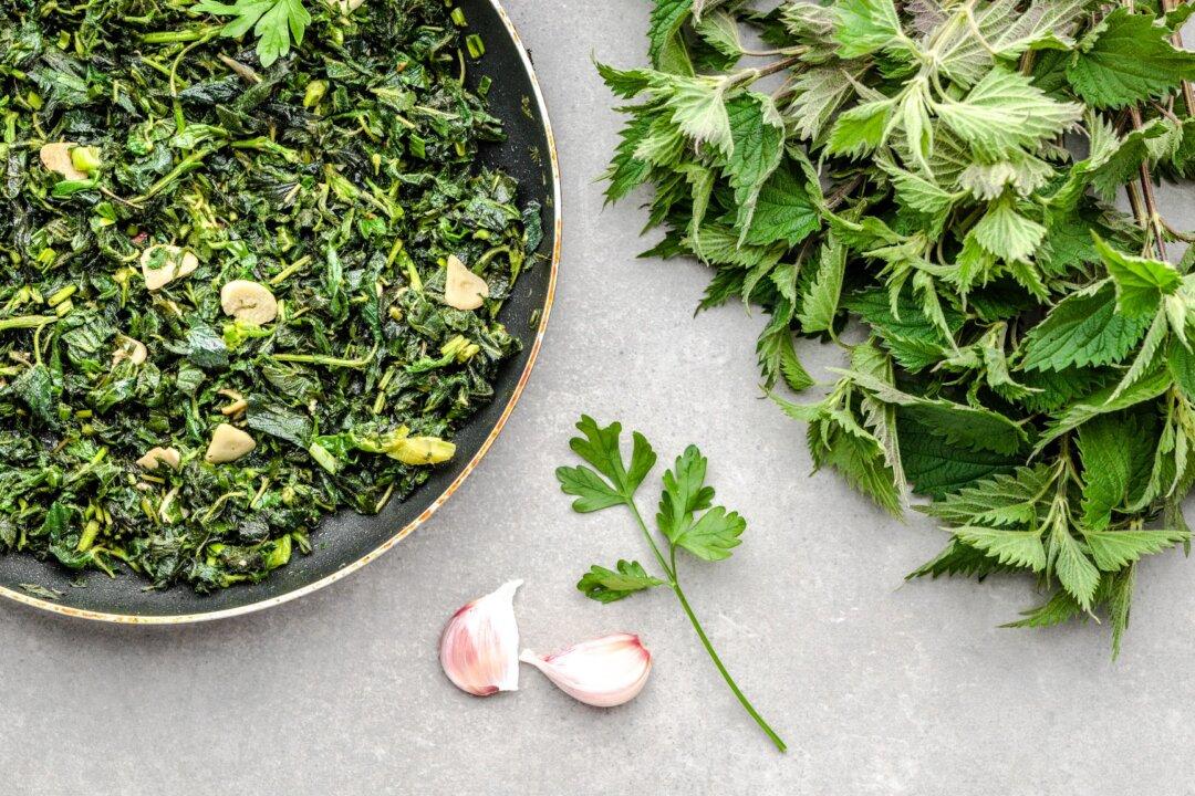 Taming the Nettle: A Romanian Springtime Tradition