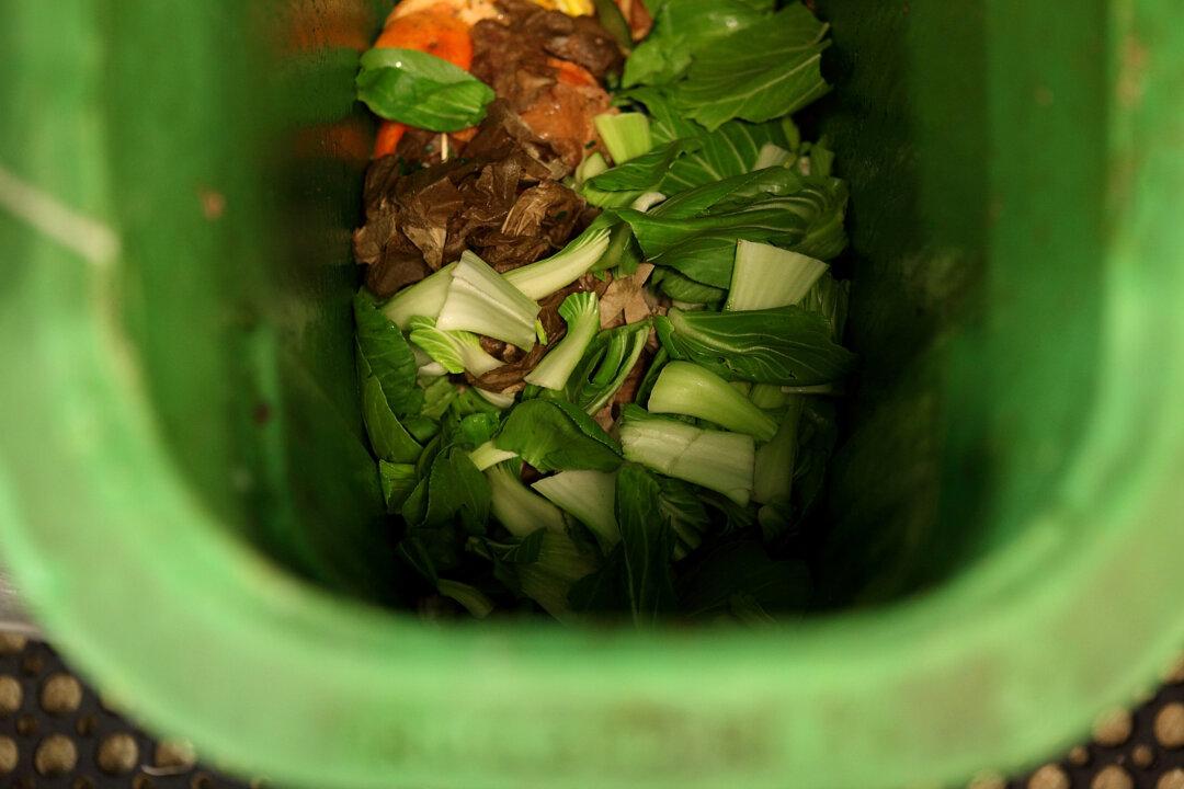 California Looks to Edible Waste Recovery to Feed Hungry
