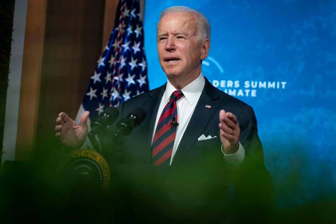 Biden Pledges to Cut US Greenhouse Gas Emissions in Half by 2030