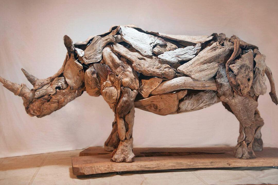 Artist Uses Driftwood to Create ‘Gnarly’ Sculptures That Seem to Have a Life of Their Own