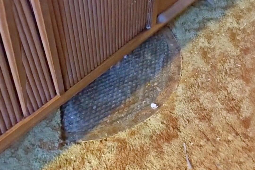 California Woman Finds Manhole in Bedroom Leading to Secret 1950s Bomb Shelter: Video