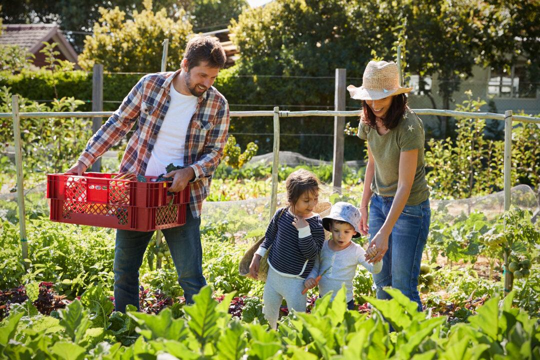 Making Family the Hub of Life Again