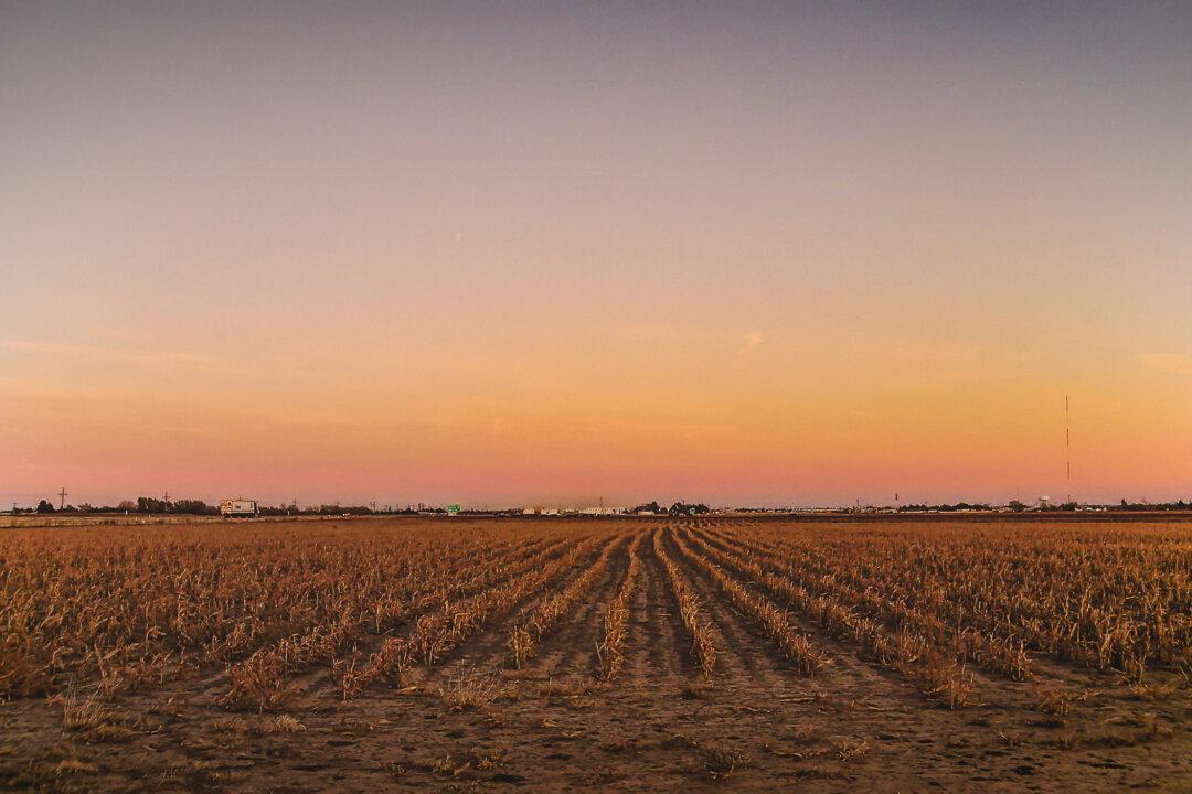 When Silicon Valley Values Meet West Texas