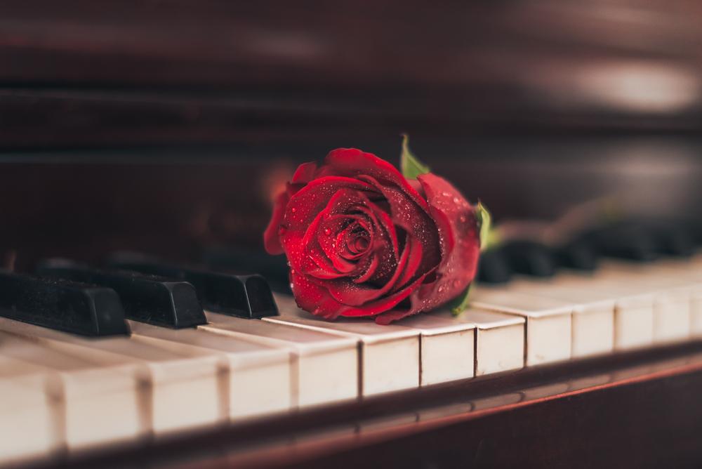 The Scent and the Sound of Roses
