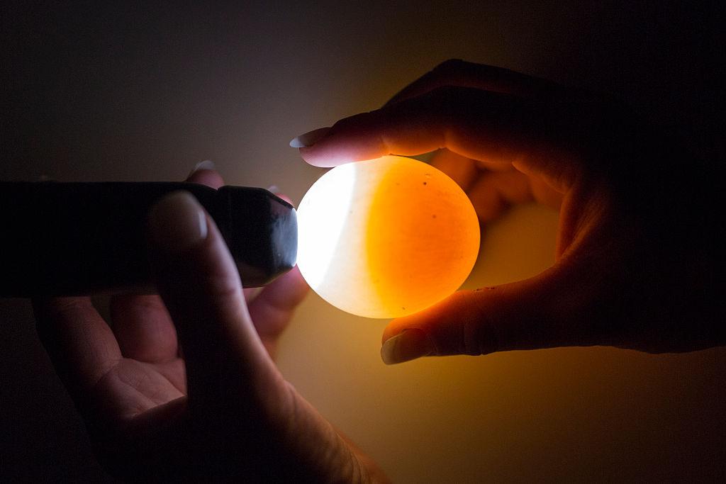 Chinese Magazine Publishes Reports That Boiled Eggs Can Hatch, Netizens Question Legitimacy