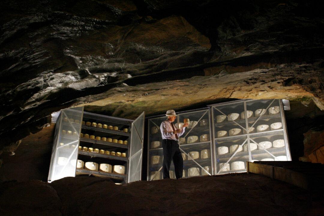 Cheddar From Cheddar: Meet the Cheesemaking Couple Who Brought a World-Famous Cheese Back to Its Home
