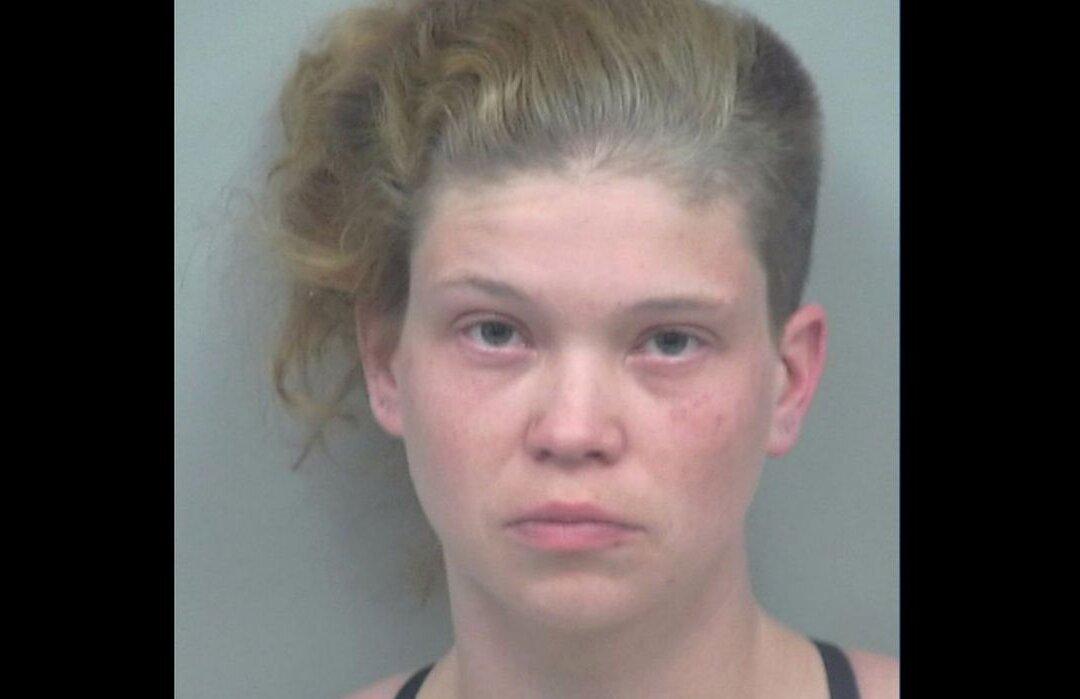 Driver of Van Charged With 6 Counts of Homicide After Crash