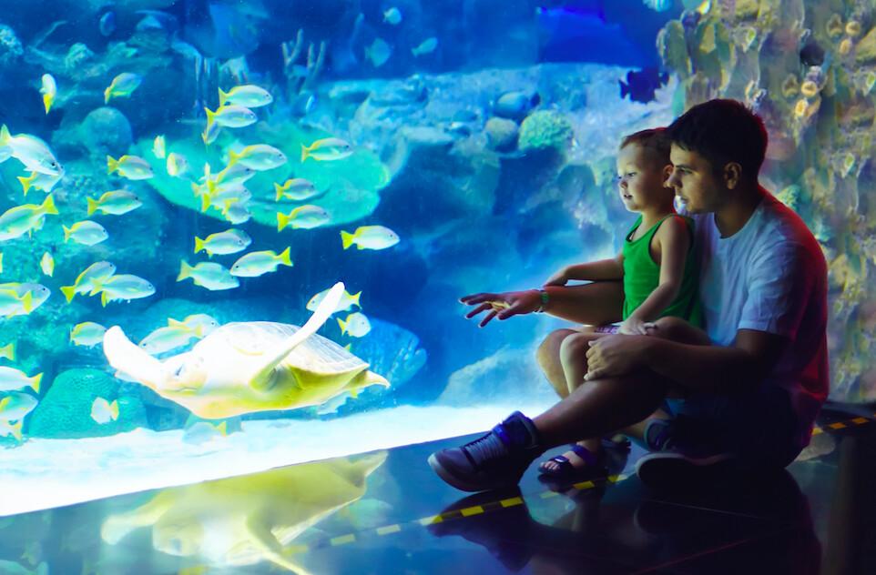 Let’s Make Summer Great Again