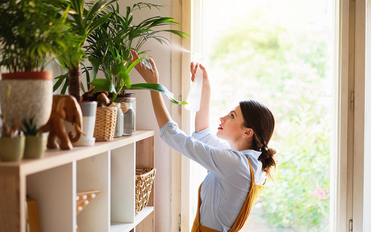 Edibles You Can Easily Add to Your Garden