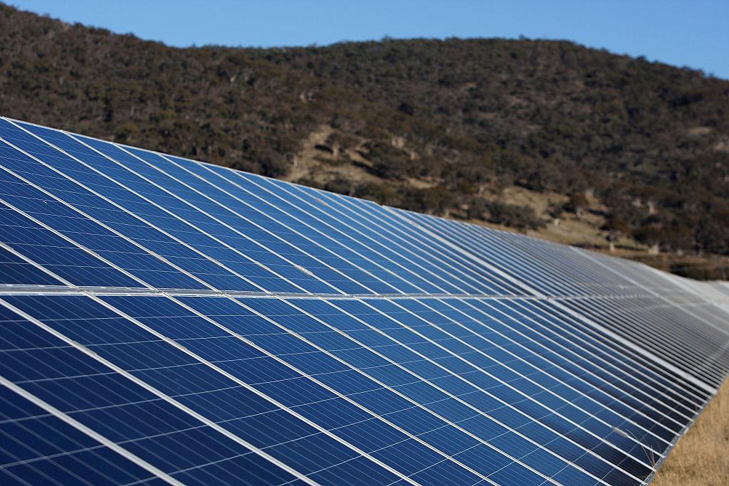 Google Strikes Solar Farm Deal to Accelerate Net Zero Transition in Australia