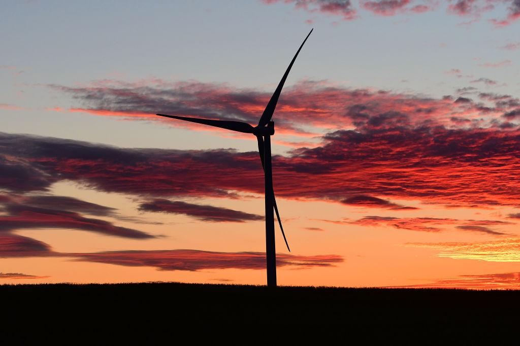 Australia and New Zealand Push to Reduce Agriculture Climate Emissions at UN COP28