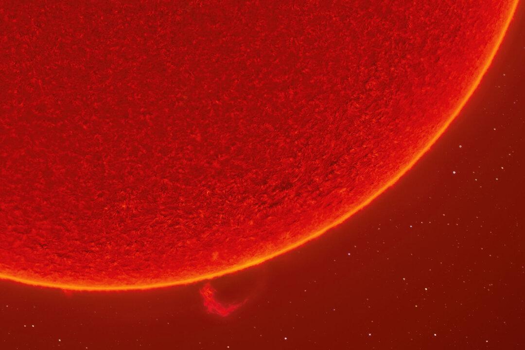 Photographer Layers 100,000 Images of Sun to Create Ultra-Sharp Photo of Solar Surface—and It’s Breathtaking