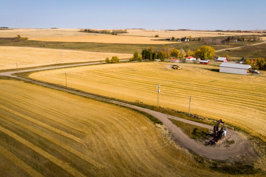 Rising Food Prices and Operating Costs Are Plenty for Farmers’ Plate