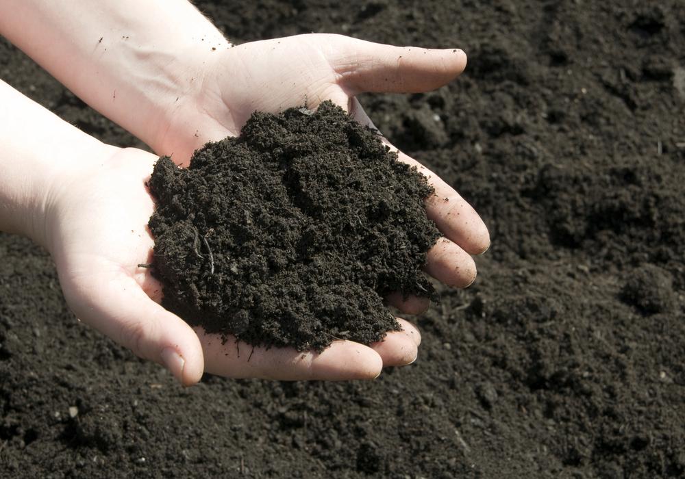 Growing Gardeners: Get to Know Your Soil