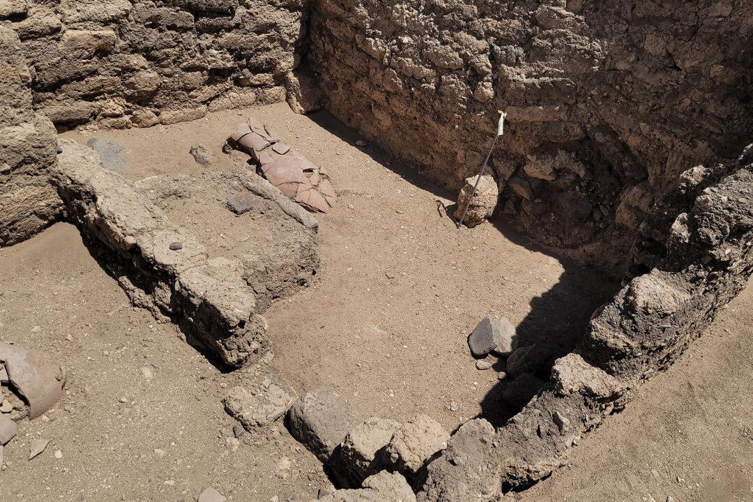 Explorer Shares About the Moment He Witnessed the Newly Found Ancient Golden City of Luxor in Egypt