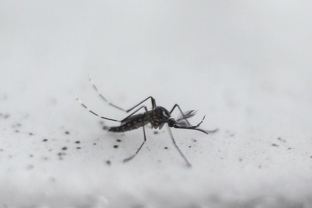 Los Angeles County Reports Year’s First Death Due to West Nile Virus