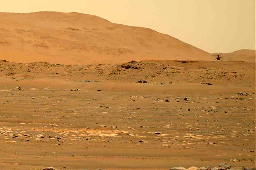 NASA Identifies Why Mars Helicopter ‘Ingenuity’ Crashed on Its Final Flight