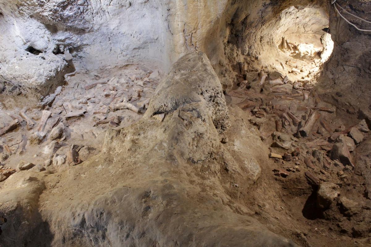 Human Evolution Theories Face Serious Challenges From Fossils, Study Finds