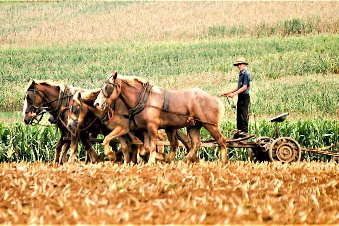 Good Times and Quiet Moments in Kent County, Delaware