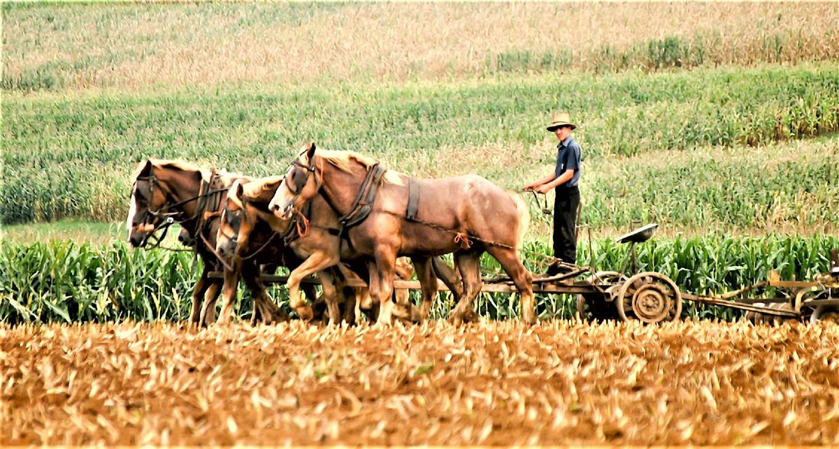 Good Times and Quiet Moments in Kent County, Delaware