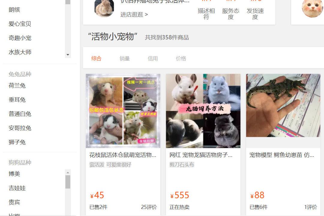 Courier Companies in China Deliver Live Animals in Sealed Boxes