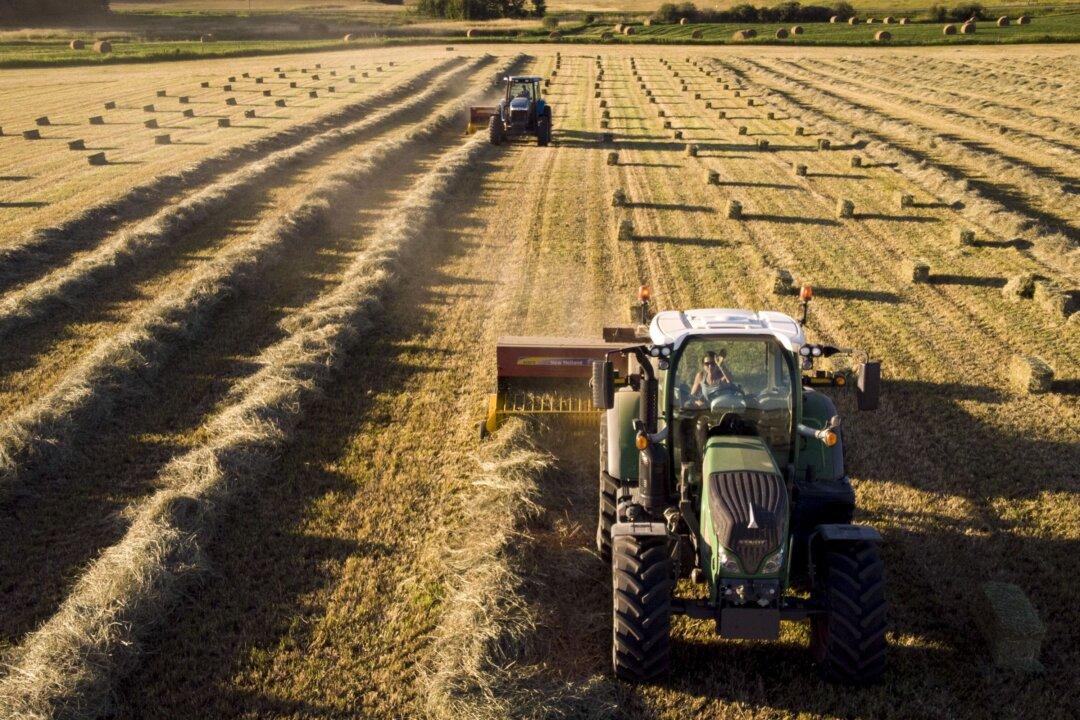 Anthony Furey: Eliminating the Carbon Tax for Farms Will Help With Grocery Bills