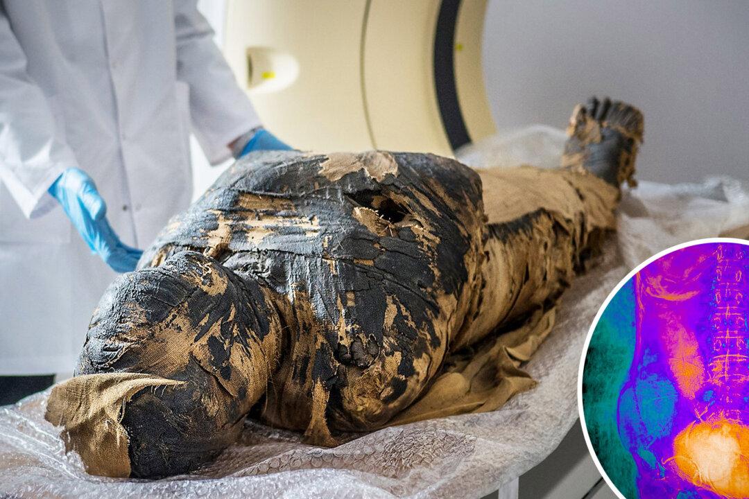 Scientists Discover That Egyptian Mummy Thought to Be Male Priest Was Actually Pregnant Woman in Her 20s