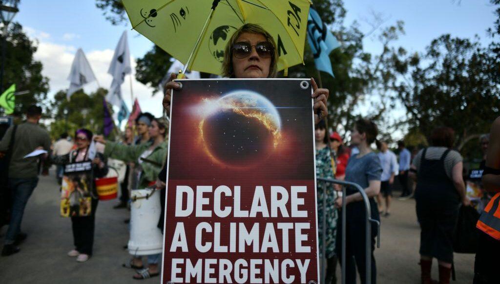 Multimillion Dollar Companies Backing Environmental Activists for Profit: Report