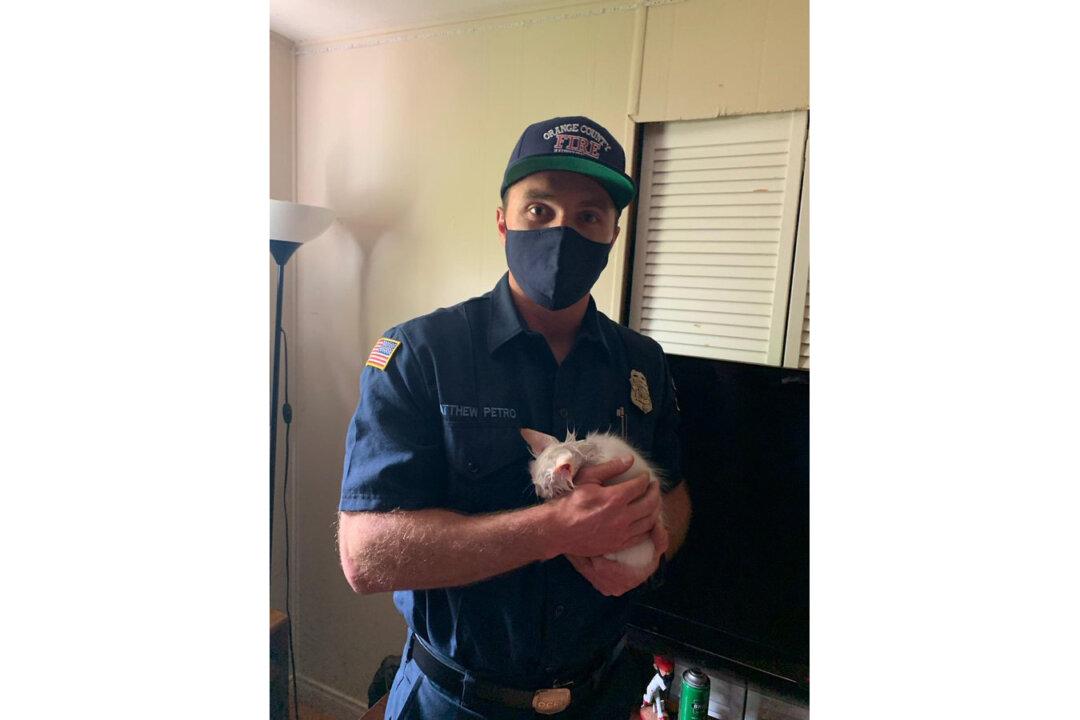 Firefighter Saves Trapped Kitten From Catastrophe