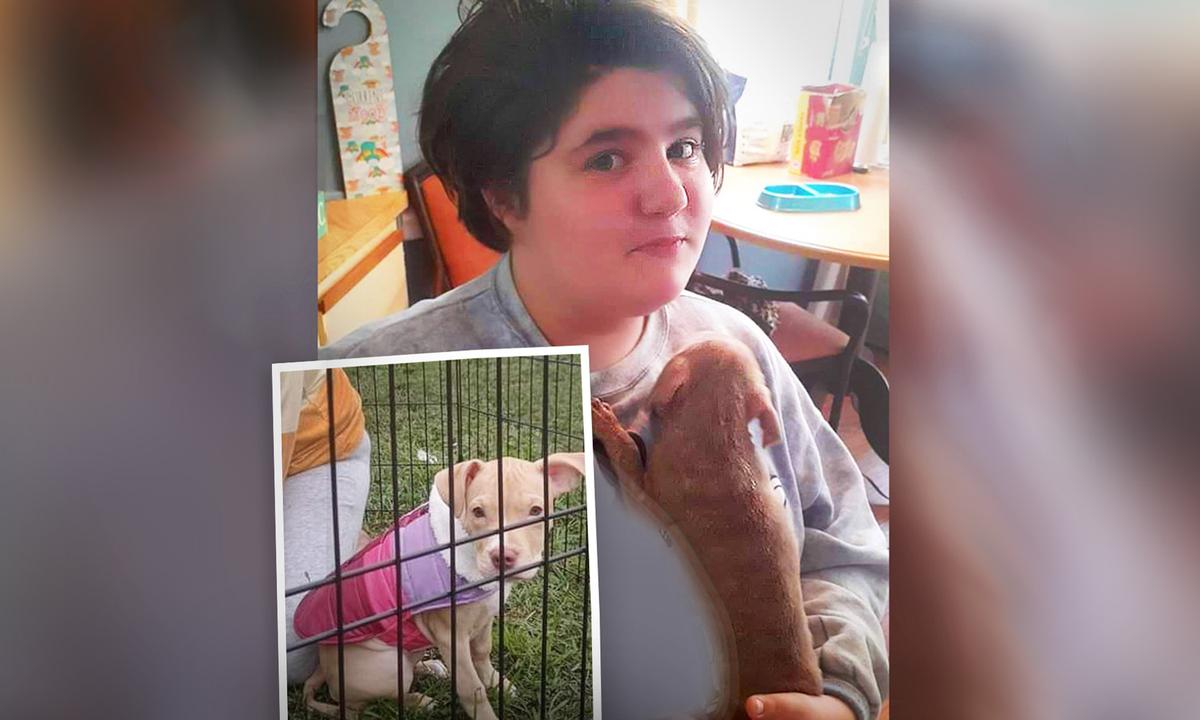 11-Year-Old Girl Enters Blazing RV to Save Puppies, Doesn’t Make It Out Alive