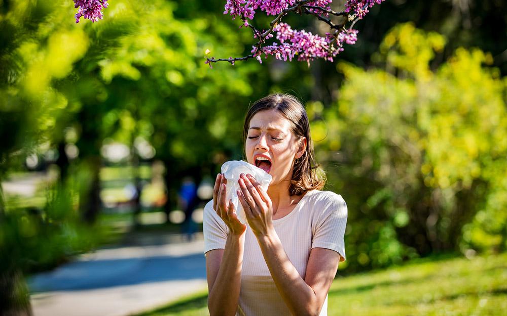 Foods to Help Face Seasonal Allergies