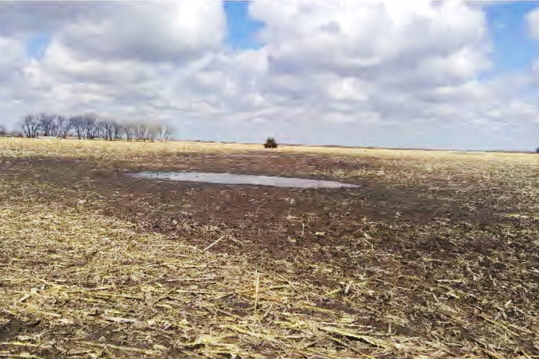 Farmers Sue Over Federal Regulation of ‘Mud Puddle’ on Their Land