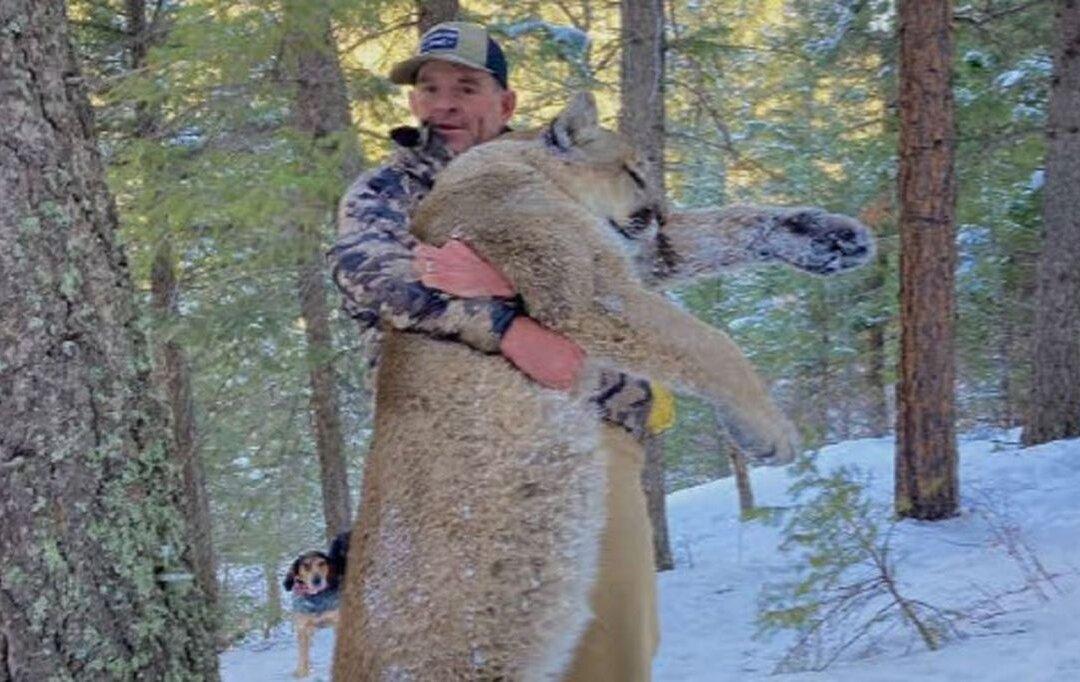 Jan. 6 Suspect Placed Under House Arrest After Allegedly Killing Mountain Lion: Officials