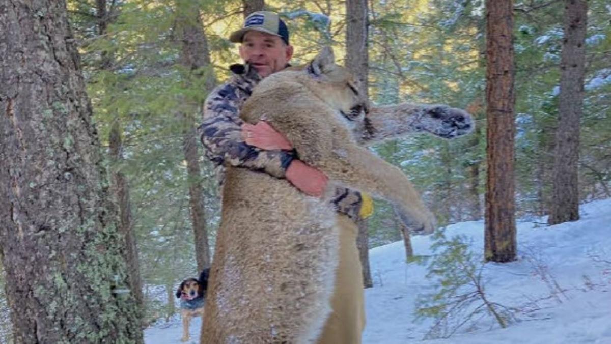 Jan. 6 Suspect Placed Under House Arrest After Allegedly Killing Mountain Lion: Officials