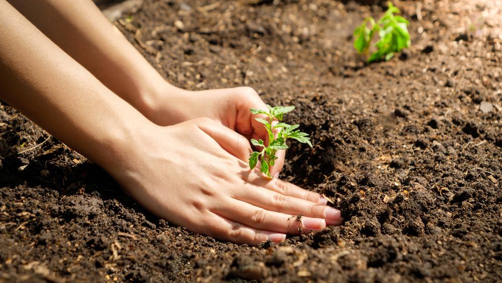 Growing Gardeners: It’s Moving Day!