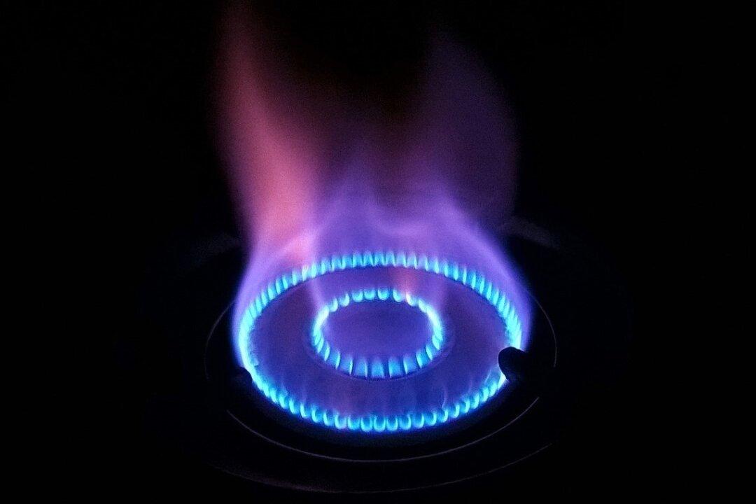 Climate Activists at Odds With NSW’s $600 Million Gas Plant