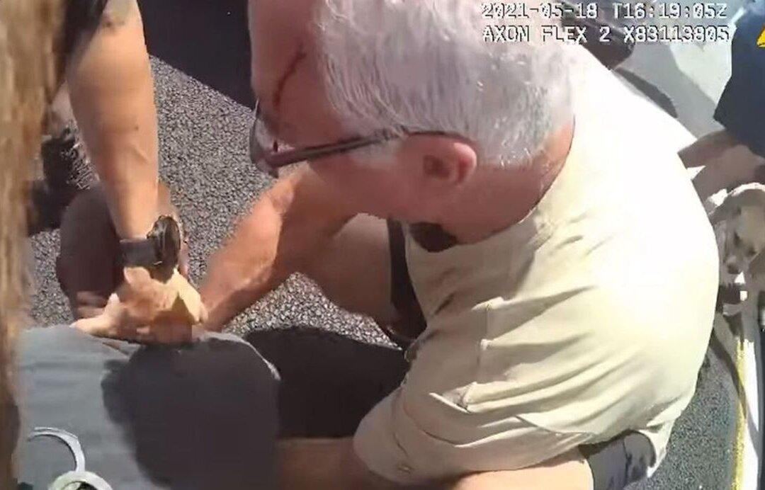 Two Men Helped Deputy Being Attacked During Florida Traffic Stop, Video Shows