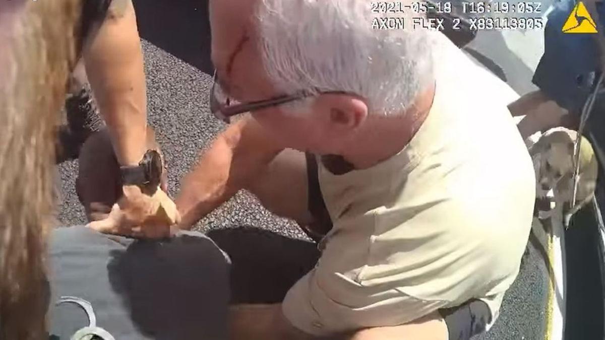 Two Men Helped Deputy Being Attacked During Florida Traffic Stop, Video Shows