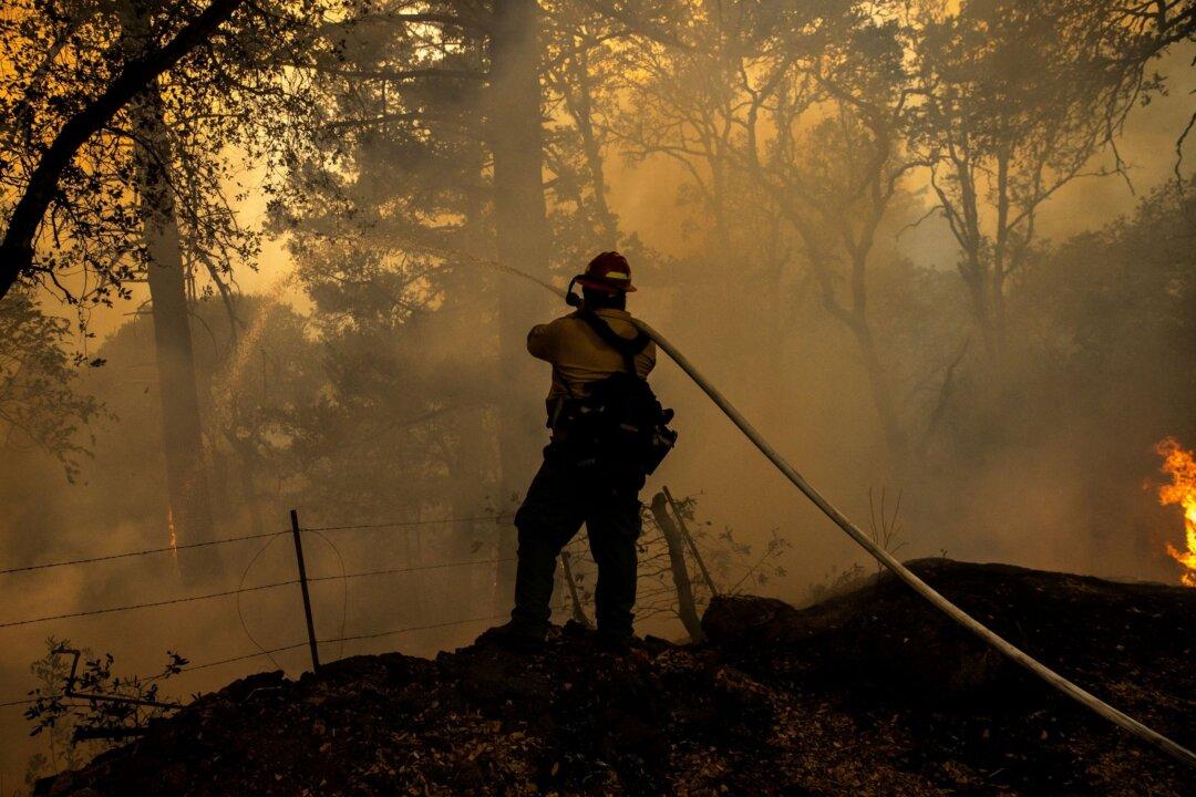 US Proposes Big Increase in Forest Management to Tackle Wildfires