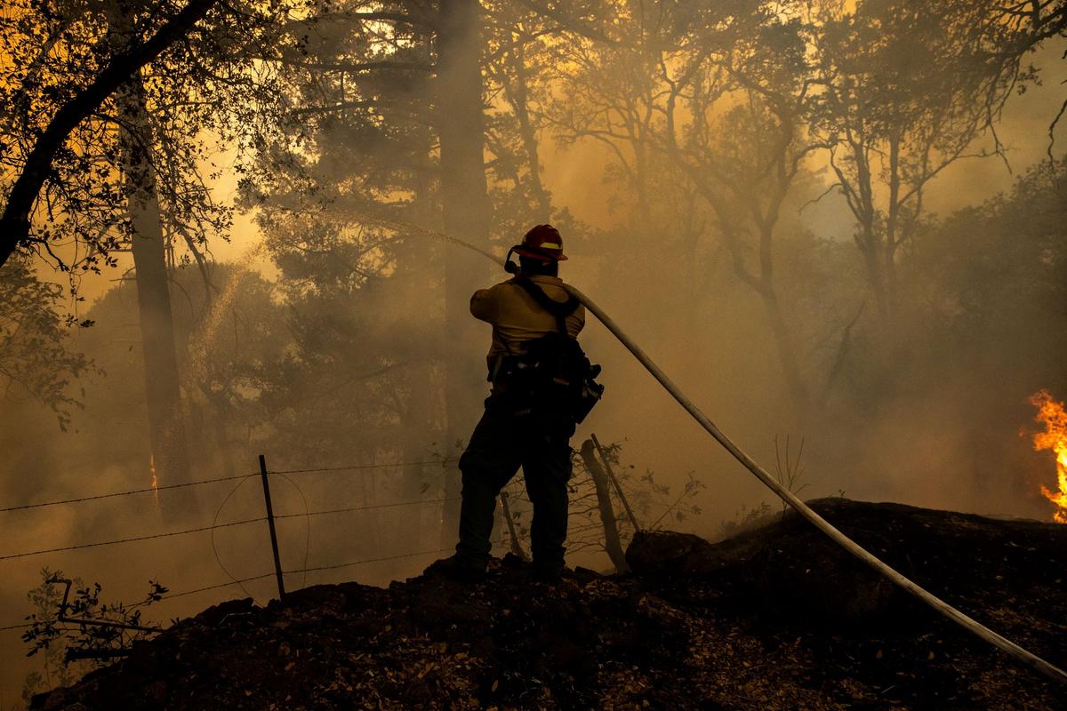 US Proposes Big Increase in Forest Management to Tackle Wildfires