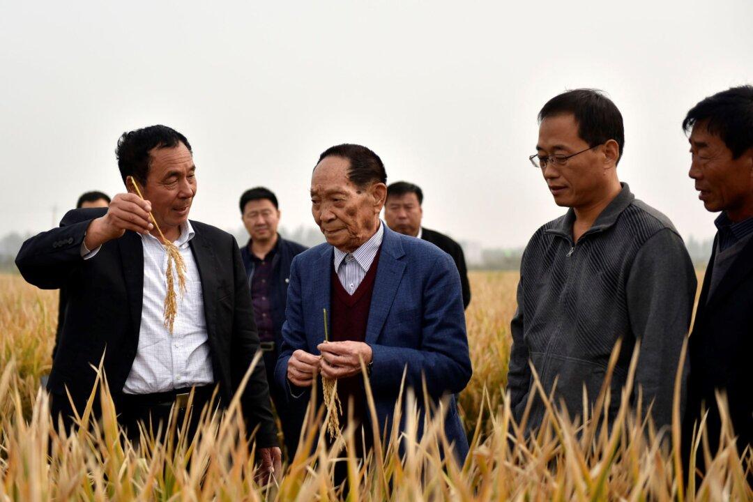 Top Chinese Scientist Yuan Longping Dies